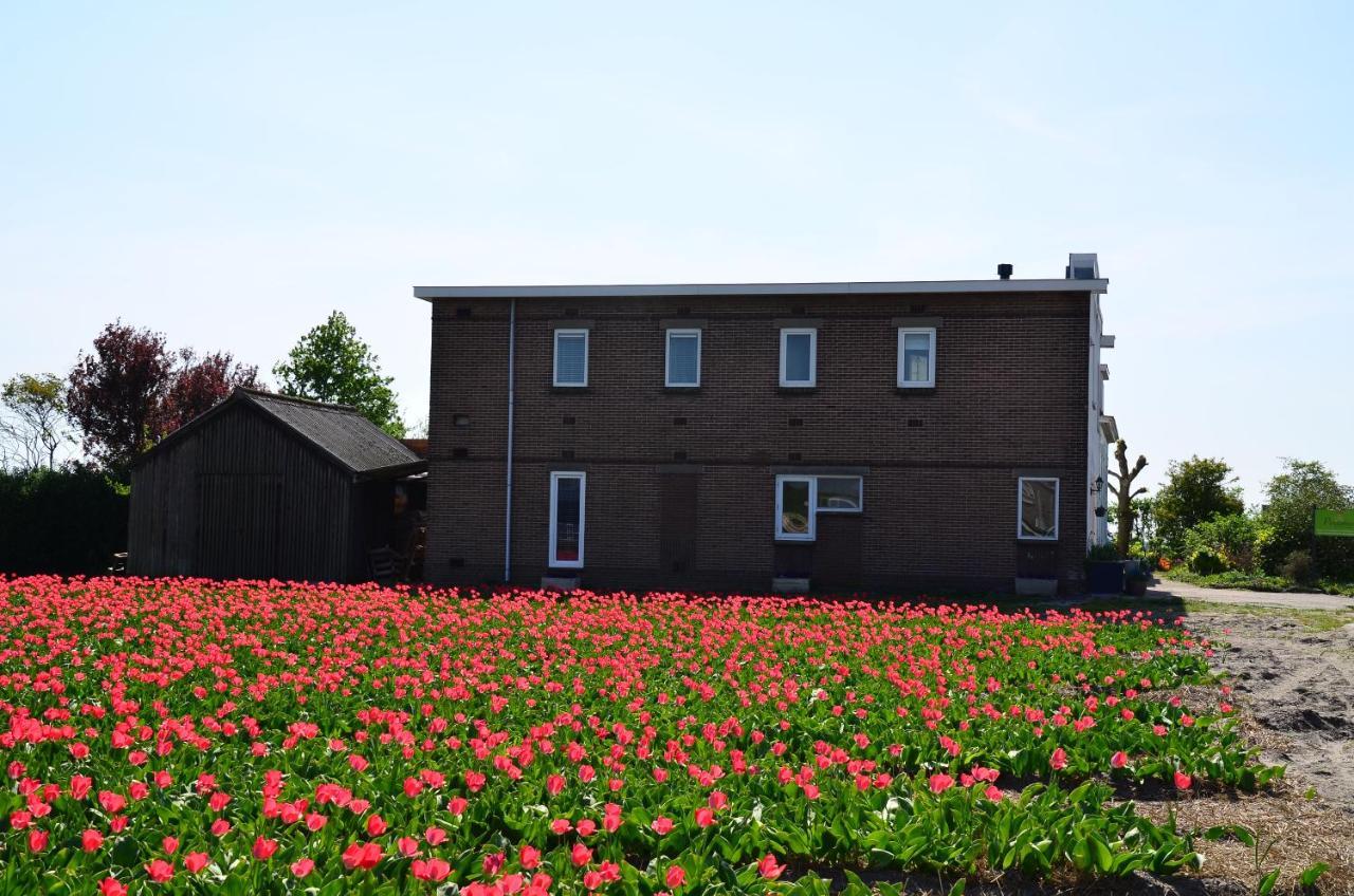 Wellness Bed & Breakfast Pergamo Voorhout Exterior foto